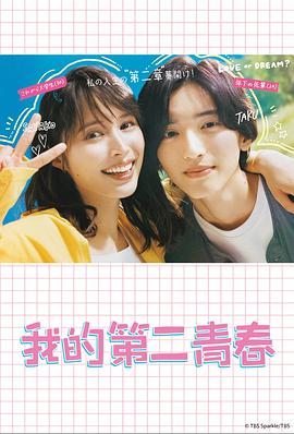 白云区互联网seo优化哪家好